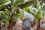 Adobestock 321828274