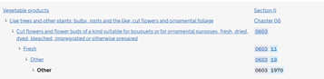 Details of commodity code of Daffodils