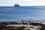 falkland_islands