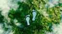 greentrade