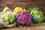brassicas