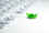 green_shipping