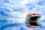 ocean_freight