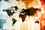 world_trade