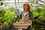 Farming Fruit Picker