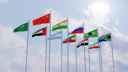 BRICS Flags