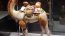 Camel Museum
