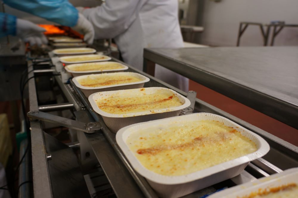 lasagne