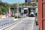 Customs Procedures