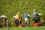 fruitpickers
