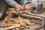 sugar_cane