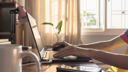 upskill_from_home