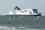 pando_ferries